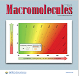 アメリカの権威ある科学雑誌「Macromolecules」に特集が掲載！