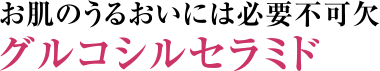 お肌のうるおいには必要不可欠 グルコシルセラミド