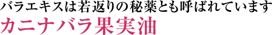 バラエキスは若返りの秘薬とも呼ばれています カニナバラ果実油