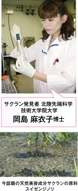 サクラン発見者 北陸先端科学技術大学院大学 岡島 麻衣子博士